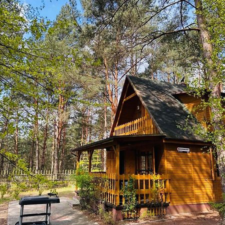 Lesniczowka Villa Rzadza ภายนอก รูปภาพ