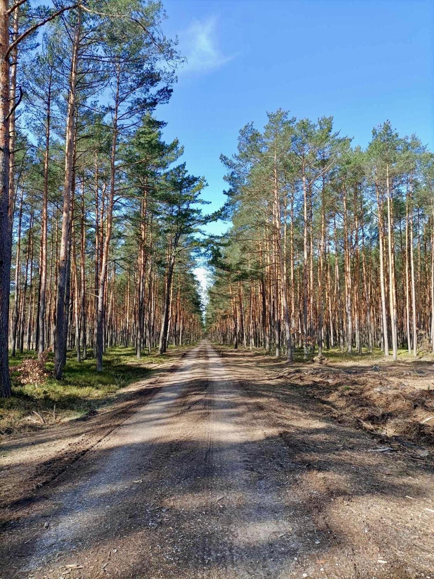 Lesniczowka Villa Rzadza ภายนอก รูปภาพ