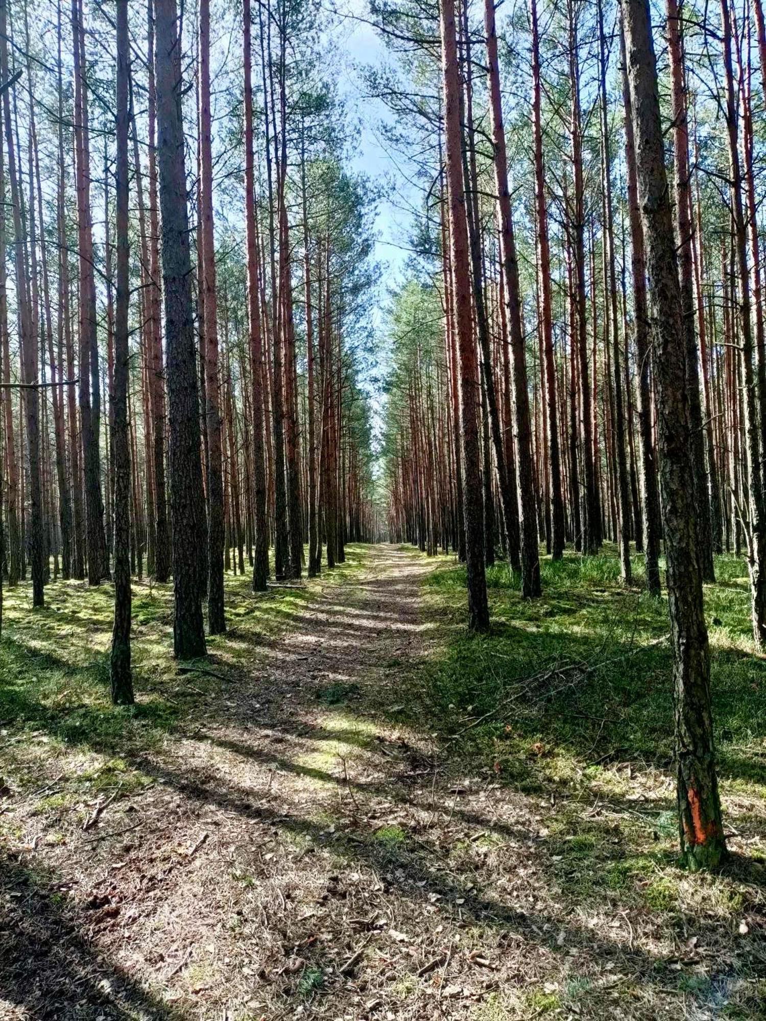 Lesniczowka Villa Rzadza ภายนอก รูปภาพ